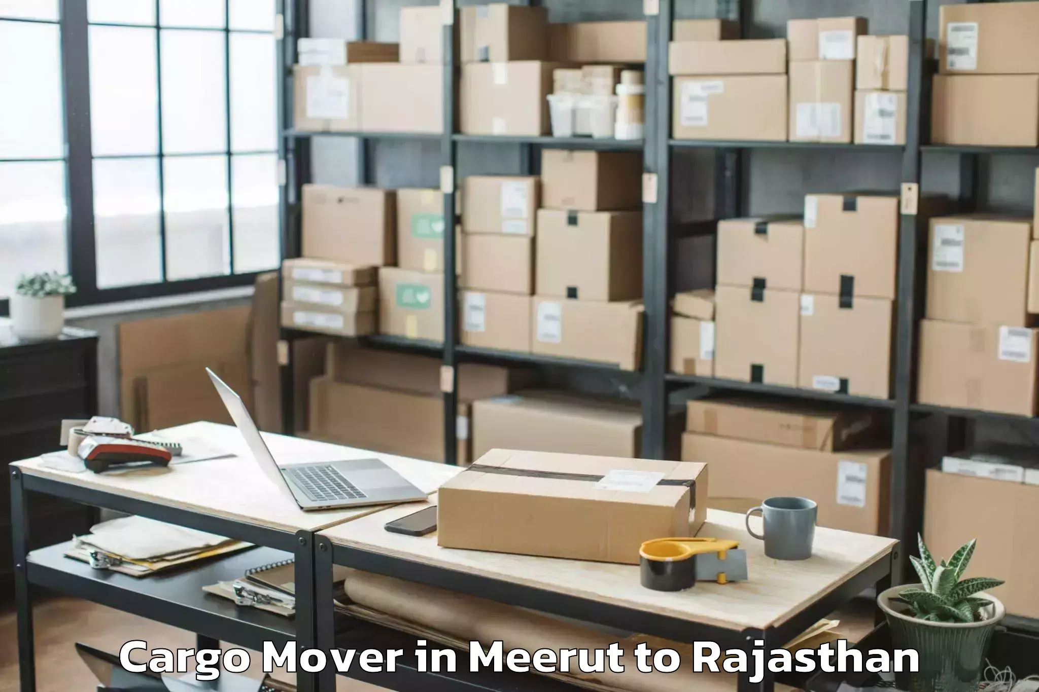 Trusted Meerut to The Iis University Jaipur Cargo Mover